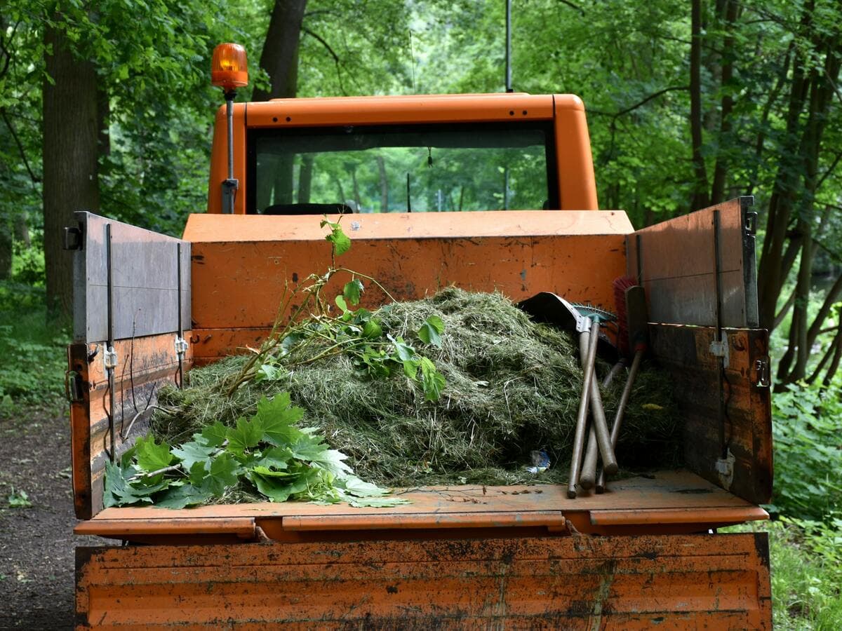 Benne d’un petit camion chargée de tontes et de branchages, outils posés contre la ridelle, en sous-bois